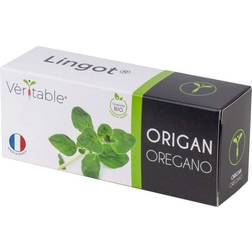 Organic Oregano Lingot