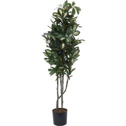 Europalms Schefflera, artificial, 90cm Konstgjord växt