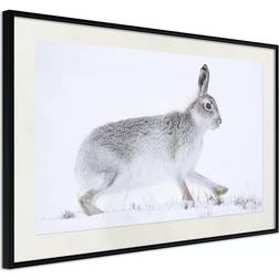 Arkiio Affisch Rabbit 45x30 Poster