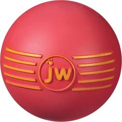 JW Isqueak Ball M 7