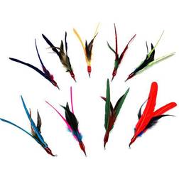 Go Cat Bird Feather Teaser Feathers