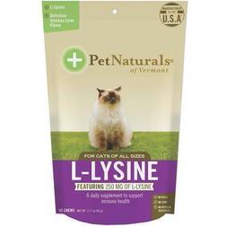 Pet Naturals Naturals of Vermont L-Lysine For Cats All Sizes Chicken Liver