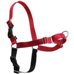 PetSafe Easy Walk No-Pull Leash Training