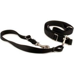 PetSafe Hands-Free Dog Leash