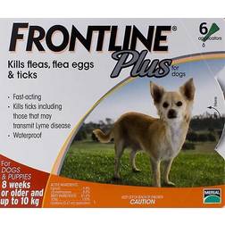 Frontline Plus Small Dogs Up To 22lbs 6