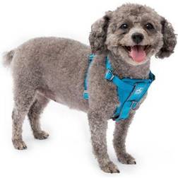 Kurgo PetSafe Tru-Fit Smart Harness