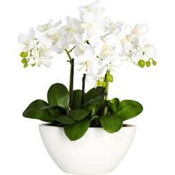 Nearly Natural 15" Phalaenopsis with White