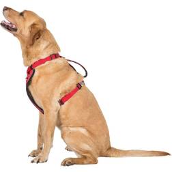 Trespass Trespaws Tanked Dog Car Safety