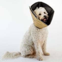 Four Paws Pet E-collar Comfy Cone M Tan