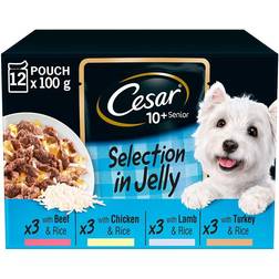 Cesar Senior 10+ In Jelly 12x100g