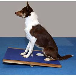 FITPAWS Enorm balansbräda 75x75
