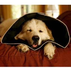 Hrse Four Paws e-halskrave Comfy Cone