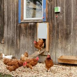 Kerbl Sliding Chicken Coop