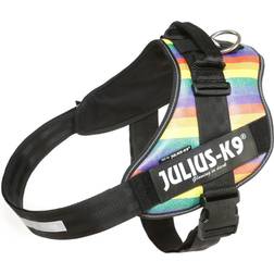 Julius-K9 Arco Iris Tamaío 3XL/4