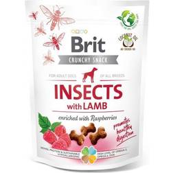 Brit Care Crunchy Cracker Insetti Agnello & Lamponi Snack Cane - Set % 3 x 200 g