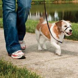 PetSafe EASY WALK Grimma S