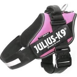Julius-K9 IDC Hundesele-Pink-str.1
