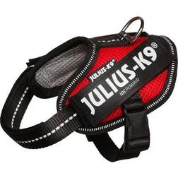 Julius-K9 Pettorina Estiva Per Cani IDC Powair 2XS Circonferenza 33-45 cm Peso 2-5 Kg Rosso