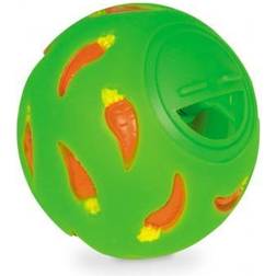 Nobby Rodent Plastic Snack & Food Ball