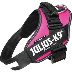 Julius-K9 Power IDC Power Tamaío L / 1 Rosa Oscuro
