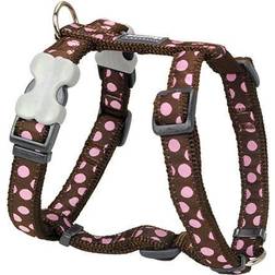 Red Dingo DH-S1-BR-SM Dog Pink Dots on