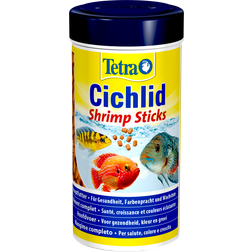 Tetra Cichlid Shrimp