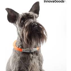 InnovaGoods "LED-halsband husdjur Petlux