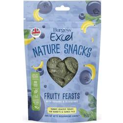 Burgess Excel Natures Snack Fruit Feasts