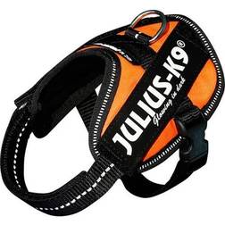 Julius-K9 IDC Powerharness Dog Harness UV Orange Baby 2