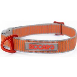Siccaro Sealines hundehalsbånd sølv/orange 36-51 cm/str. M