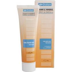 Diafarm Vitamin & Mineral Energy Paste Gel Omega