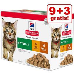 Hills Feline Mature Adult 7+ Senior Vitality - Set % 24 x 85 g Pollo & Salmone