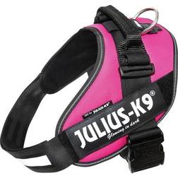 Julius-K9 Dark Pink Dog Harness