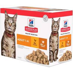 Hills Feline Adult Chicken & Turkey 15x85