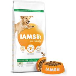 IAMS Dog Adult Large Breed Lamb 3kg