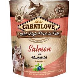 Carnilove Puppy Salmon with Blueberries Paté 300