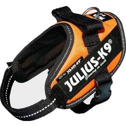 Julius-K9 UV Orange Dog Harness, Large