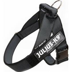 Julius-K9 C&G IDC-harness 0