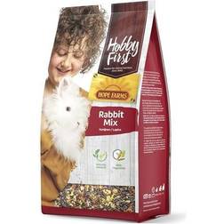 Hobby First Hobby First Rabbit Mix, 3