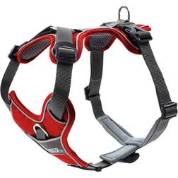 Hunter Divo Vermelho E Cinza Para CÃes T/S-M 52 cm-68 cm