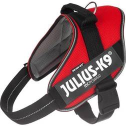 Julius-K9 IDC® POWAIR harness XL