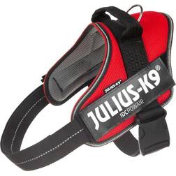 Julius-K9 IDC® POWAIR harness