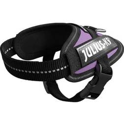 Julius-K9 Pettorina Porpora Tg.Baby 1 IDC Power Harness - Viola