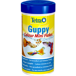 Tetra Guppy Color Mini Flakes