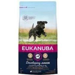 Eukanuba Developing Junior Large Breed Chicken 12KG