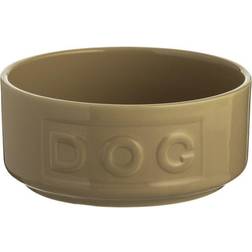 Mason Cash DOG