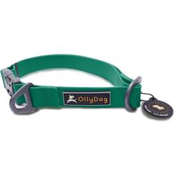 OllyDog Tilden Collar Teal