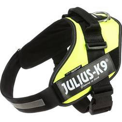 Julius-K9 IDC harness size. 2