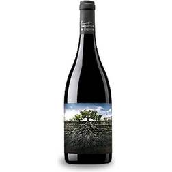 Proyecto Garnachas de España Salvaje del Moncayo Aragon 2019