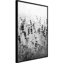 Artgeist med ramme Shadow of Meadow Sort med passepartout 40x60 Billede